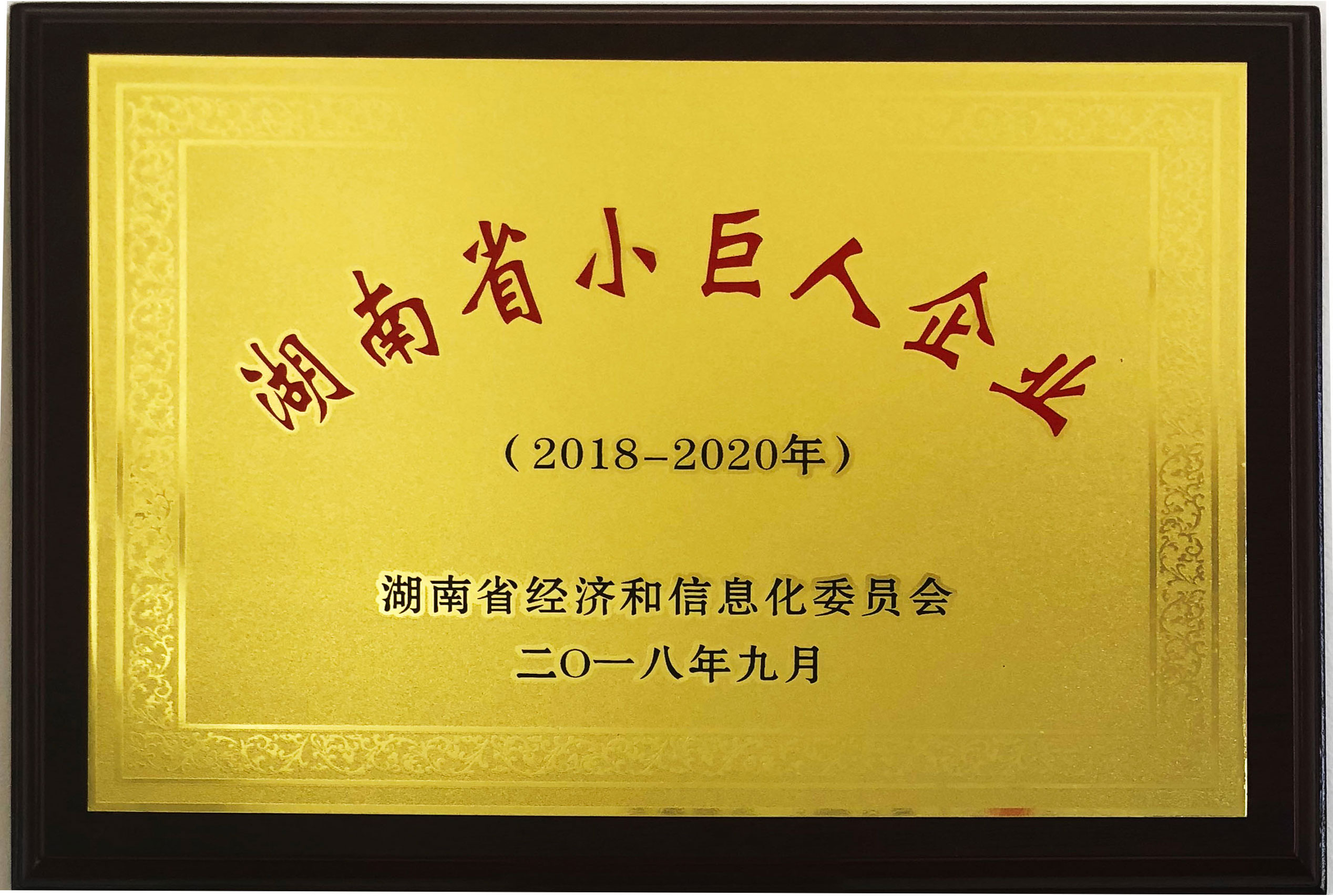湖南省小巨人企業